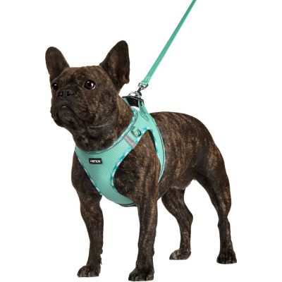 Harnesses for cats and dogs