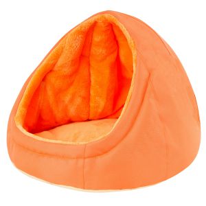Tulipan OX - orange