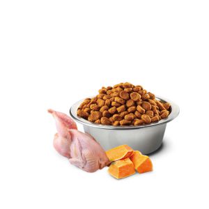 bowl-nd-pumpkin-quail_12000