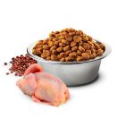 bowl-nd-quinoa-quail_1200