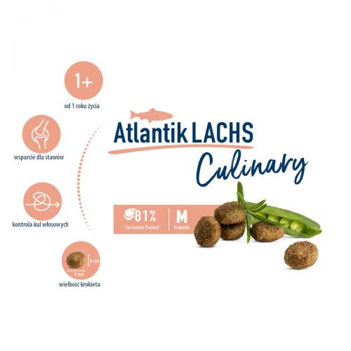 hc_culinary_adult_atlantik_lachs_02_12000