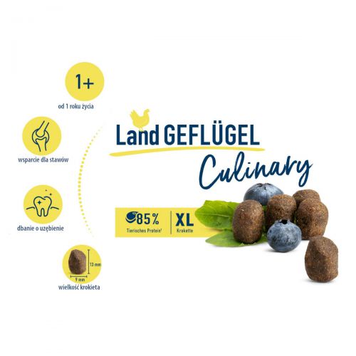 hc_culinary_adult_land_gefluegel_02_1200