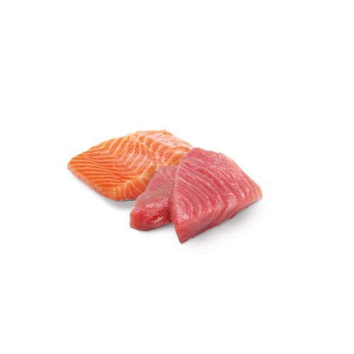 nd-ocean-tuna-salmon-500x320_1200