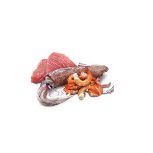 nd-ocean-tuna-squid-shrimp_12000