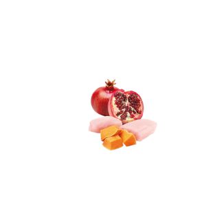 nd-pumpkin-chicken-pomegranate_12003
