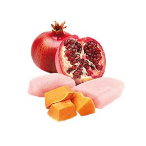 nd-pumpkin-chicken-pomegranate_12004