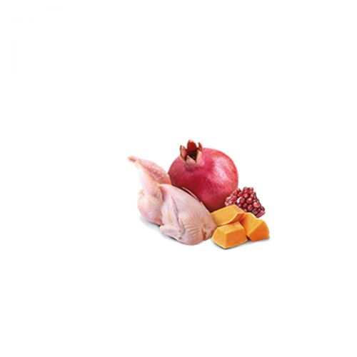 nd-pumpkin-quail-pomegranate-adult_12000