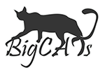Sklep dla kota i psa - http://www.bigcats.pl